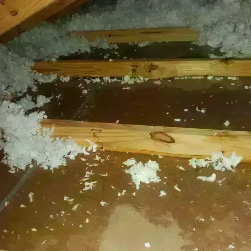 Attic Water Damage in Lindsborg, KS